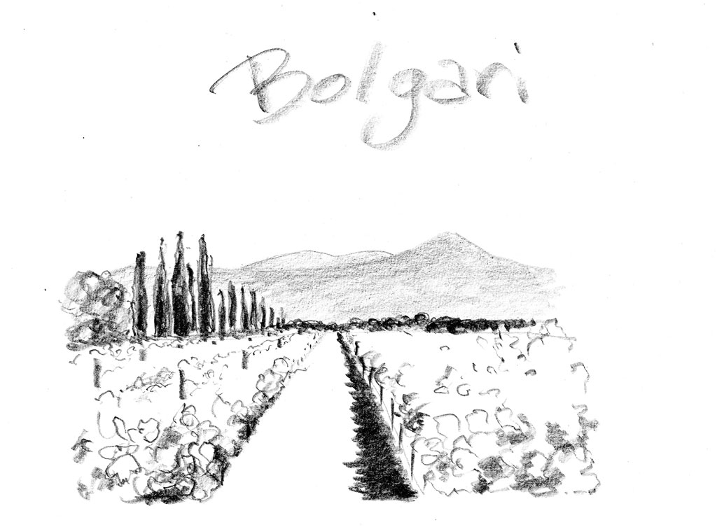 Bolgheri