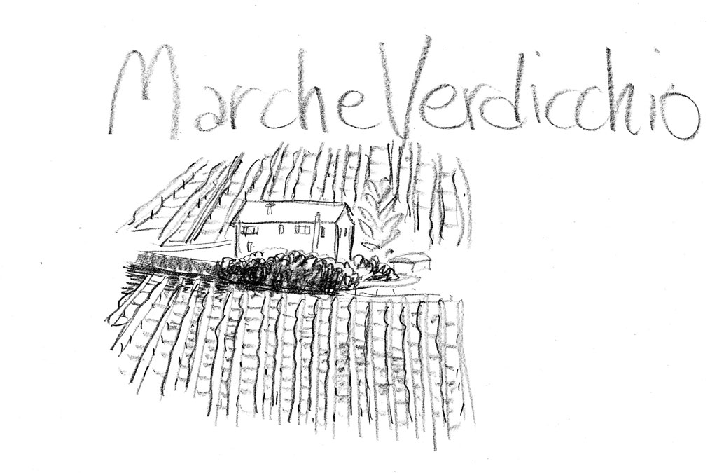 Marche Verdicchio